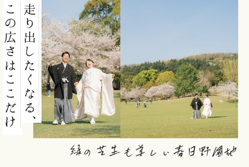 奈良公園桜と和装で前撮り
